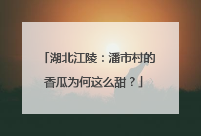 湖北江陵：潘市村的香瓜为何这么甜？