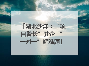 湖北沙洋：“项目警长”驻企 “一对一”解难题