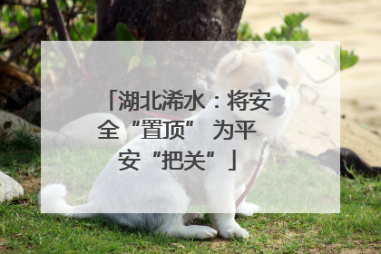 湖北浠水：将安全“置顶” 为平安“把关”