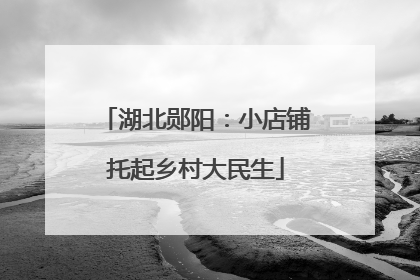 湖北郧阳：小店铺托起乡村大民生