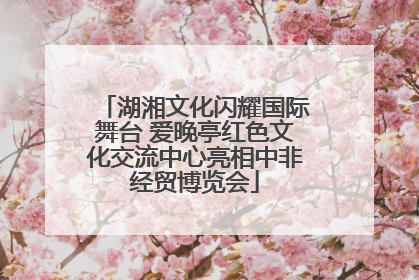 湖湘文化闪耀国际舞台 爱晚亭红色文化交流中心亮相中非经贸博览会