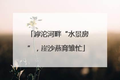 滹沱河畔“水景房”，崖沙燕育雏忙