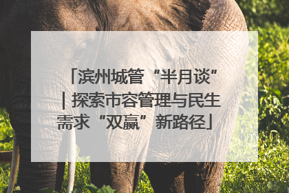 滨州城管“半月谈”｜探索市容管理与民生需求“双赢”新路径