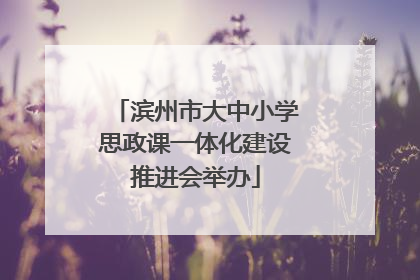滨州市大中小学思政课一体化建设推进会举办