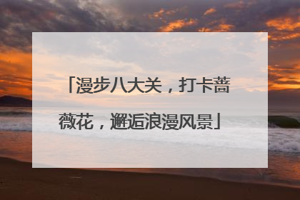 漫步八大关，打卡蔷薇花，邂逅浪漫风景