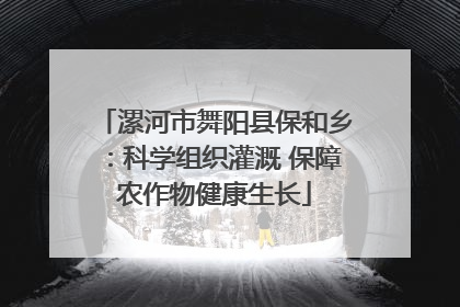 漯河市舞阳县保和乡：科学组织灌溉 保障农作物健康生长