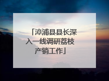 漳浦县县长深入一线调研荔枝产销工作