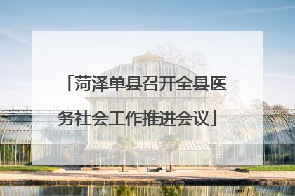 菏泽单县召开全县医务社会工作推进会议