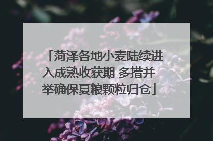 菏泽各地小麦陆续进入成熟收获期 多措并举确保夏粮颗粒归仓