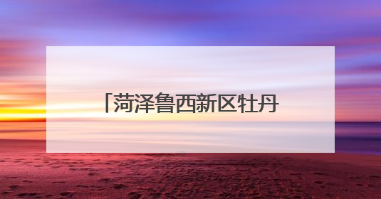 菏泽鲁西新区牡丹文创亮相第二十一届中国（深圳）国际文化产业博览交易会