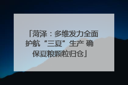 菏泽：多维发力全面护航“三夏”生产 确保夏粮颗粒归仓