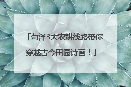 菏泽3大农耕线路带你穿越古今田园诗画！