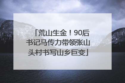 荒山生金！90后书记马传力带领张山头村书写山乡巨变
