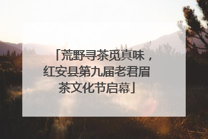 荒野寻茶觅真味，红安县第九届老君眉茶文化节启幕