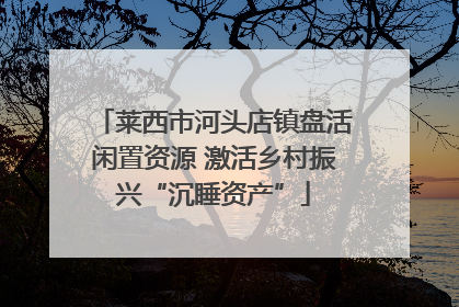 莱西市河头店镇盘活闲置资源 激活乡村振兴“沉睡资产”