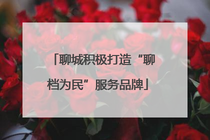 聊城积极打造“聊档为民”服务品牌