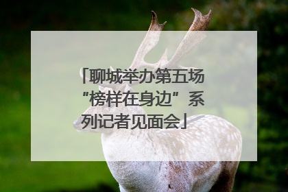 聊城举办第五场“榜样在身边”系列记者见面会
