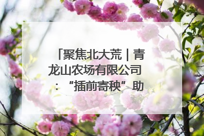 聚焦北大荒｜青龙山农场有限公司：“插前寄秧”助力农业节本增效