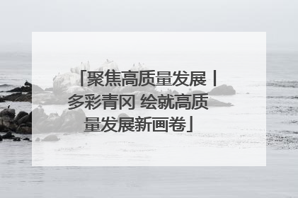 聚焦高质量发展丨多彩青冈 绘就高质量发展新画卷