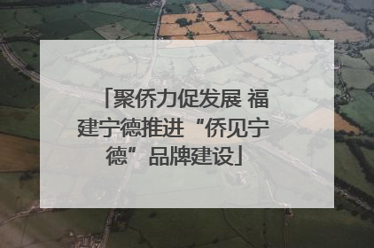 聚侨力促发展 福建宁德推进“侨见宁德”品牌建设