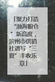 聚力打造“渤海粮仓”新高度，滨州市供销社谱写“三夏”丰收乐章