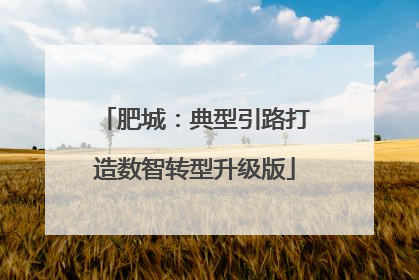 肥城：典型引路打造数智转型升级版