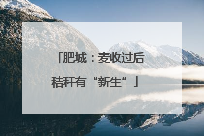 肥城：麦收过后秸秆有“新生”