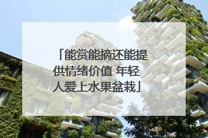 能赏能摘还能提供情绪价值 年轻人爱上水果盆栽
