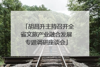 胡昌升主持召开全省文旅产业融合发展专题调研座谈会
