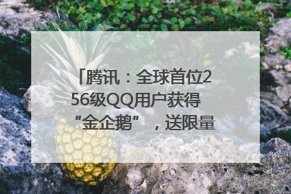 腾讯：全球首位256级QQ用户获得“金企鹅”，送限量版神秘惊喜等礼物