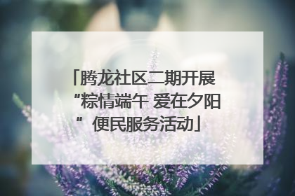 腾龙社区二期开展 “粽情端午 爱在夕阳”便民服务活动