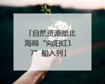 自然资源部北海局“向阳红17”船入列