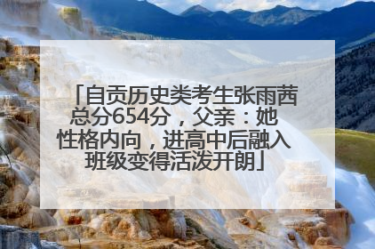 自贡历史类考生张雨茜总分654分，父亲：她性格内向，进高中后融入班级变得活泼开朗