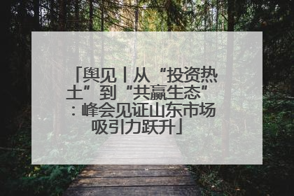舆见丨从“投资热土”到“共赢生态”：峰会见证山东市场吸引力跃升