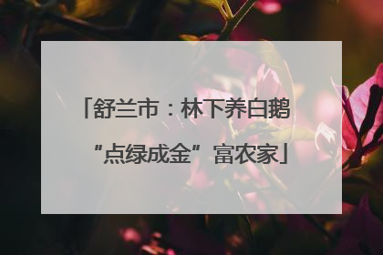 舒兰市：林下养白鹅 “点绿成金”富农家