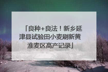 良种+良法！新乡延津县试验田小麦刷新黄淮麦区高产记录