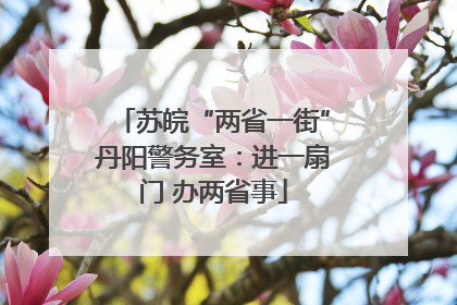 苏皖“两省一街”丹阳警务室：进一扇门 办两省事