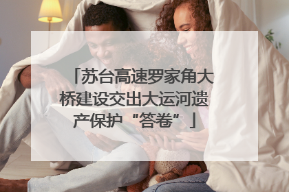 苏台高速罗家角大桥建设交出大运河遗产保护“答卷”