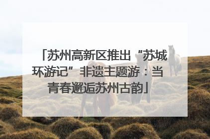 苏州高新区推出“苏城环游记”非遗主题游：当青春邂逅苏州古韵