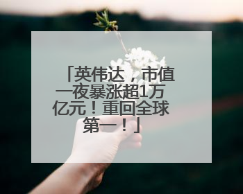 英伟达，市值一夜暴涨超1万亿元！重回全球第一！