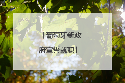 葡萄牙新政府宣誓就职