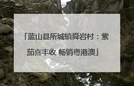 蓝山县所城镇舜岩村：紫茄喜丰收 畅销粤港澳