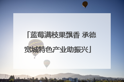 蓝莓满枝果飘香 承德宽城特色产业助振兴