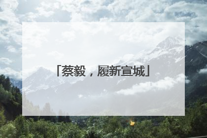 蔡毅，履新宣城