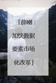 薛刚：加快数据要素市场化改革