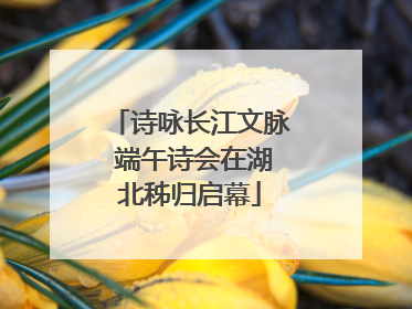诗咏长江文脉 端午诗会在湖北秭归启幕
