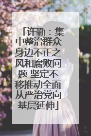 许勤：集中整治群众身边不正之风和腐败问题 坚定不移推动全面从严治党向基层延伸