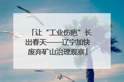 让“工业伤疤”长出春天——辽宁加快废弃矿山治理观察