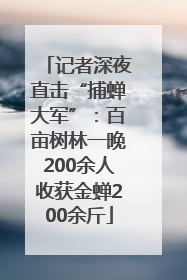 记者深夜直击“捕蝉大军”：百亩树林一晚200余人收获金蝉200余斤