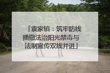 袁家镇：筑牢防线播撒法治阳光禁毒与法制宣传双线并进